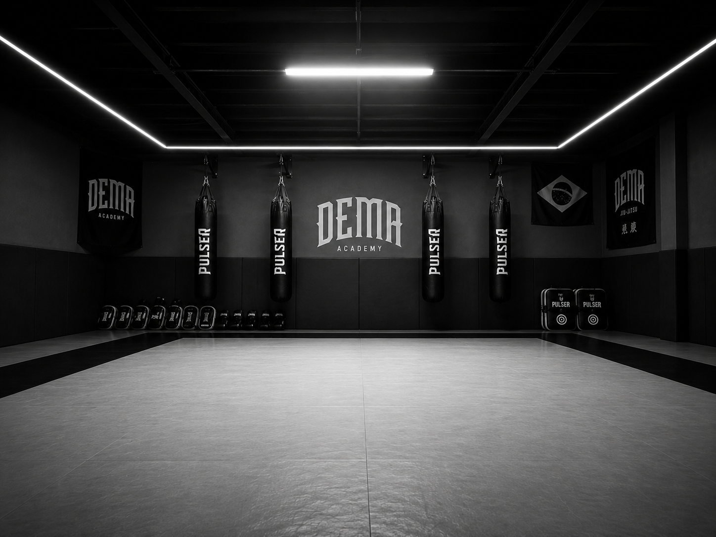 Tatame da DEMA Academy